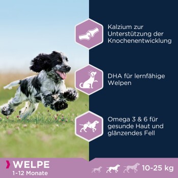 Ein verspielter schwarz-weißer Welpe auf Gras, mit Text über die Vorteile für gesundes Wachstum und Haut für Welpen von 1-12 Monaten, 10-25 kg.