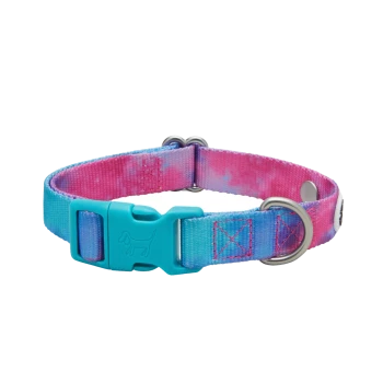 Bunter Hundehalsband mit einem Farbverlauf in Blau und Pink, mit einer Kunststoffschnalle und einem Metall-D-Ring zur Leinenbefestigung.