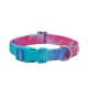 Bunter Hundehalsband mit einem Farbverlauf in Blau und Pink, mit einer Kunststoffschnalle und einem Metall-D-Ring zur Leinenbefestigung.