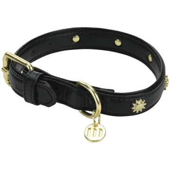 Collier pour chien en cuir noir avec boucle dorée, anneau en D, clous décoratifs en forme de soleil et médaille dorée gravée de trois barres verticales.