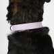 Biothane Halsband Lavendel violett XXL