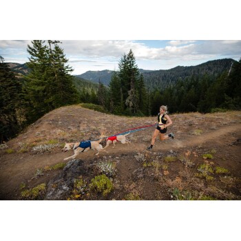 Eine Frau läuft auf einem Schotterweg in einem bewaldeten Gebiet und hält Leinen, die an zwei Hunden mit Geschirren befestigt sind, einem blauen und einem roten.