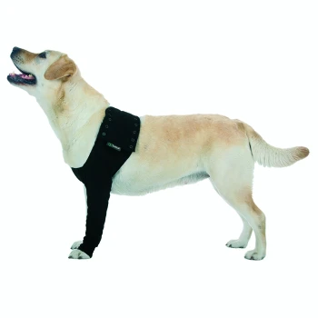 Eine Seitenansicht eines Labrador Retrievers, der ein schwarzes Haustierhemd mit einem Logo trägt und mit einem glücklichen Ausdruck nach oben schaut.