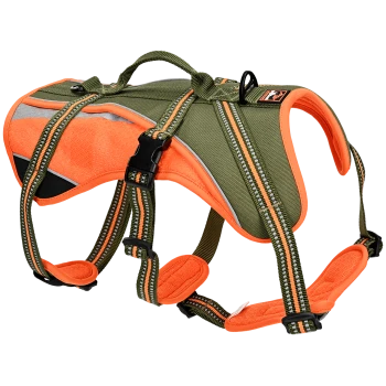 Un harnais de chien vert et orange avec des bandes réfléchissantes et des sangles ajustables, conçu pour le confort et la sécurité lors des promenades.