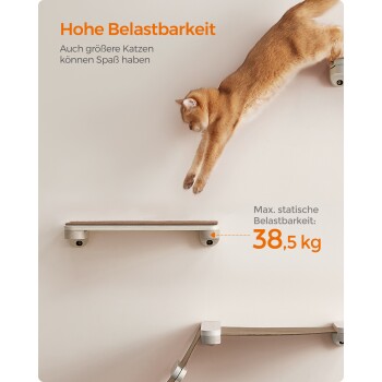 Eine Katze springt von einem Regal, das ein Haustierprodukt für größere Katzen zeigt, mit dem Text: "Hohe Belastbarkeit" und "Max. statische Belastbarkeit: 38,5 kg."