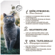 Eine graue Katze schaut nach oben, mit Text, der Zutaten auflistet: Grünlippmuschel für Gelenke, Gelatinepulver für Knorpel und Teufelskralle für die Verdauung.