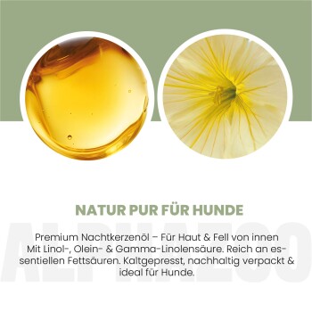 Susanne T.s Bewertung lobt ein Haustierprodukt zur Heilung von Hautproblemen bei ihrem weißen Hund und empfiehlt Nachtkerzenöl. Bewertet mit 4,8/5 aus 7.191 Bewertungen.