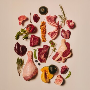 Assortiment de viandes crues et de produits sur fond pâle : pilon de poulet, côtelettes d'agneau, steaks, cœurs, foie, citrouille, herbes.