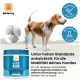 Ein Beagle steht neben Balloony Joint Pro, einem vom Tierarzt formulierten Pulver für die Mobilität von Hunden, mit hochwertigen Zutaten.