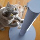 Graue Katze mit gelben Augen und eine hellbraune Katze, die an einem blauen Kratzpfosten mit hängendem Seilball auf einem Holzboden hochklettern.