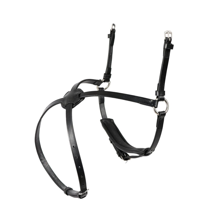 Hans Melzer Horse Equipment Hans Melzer Reithalfter mexikanisch schwarz/silber schwarz unterlegt VB/ COB (Vollblut)