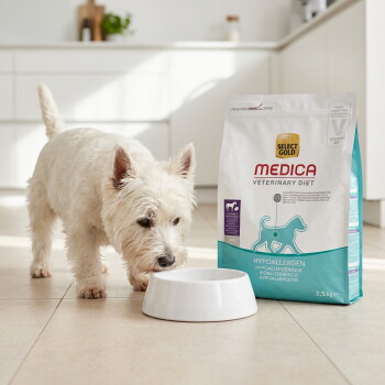 Kleine witte terriër snuffelt aan een bakje naast een zak Select Gold MEDICA Veterinary Diet Hypoallergen hondenvoer (2,5 kg). – AI-gegenereerd