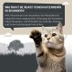 Eine neugierige Katze hebt ihre Pfote neben einer Sprechblase, die Reavet-Menüs hervorhebt: 98% Fleisch, keine Körner oder Zucker.