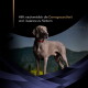 Grauer Weimaraner mit rotem Halsband vor Bergkulisse; sichtbarer deutscher Text: 'Hilft nachweislich die Darmgesundheit...'.