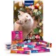 Un calendrier de l'Avent Vitakraft festif mettant en vedette un chat curieux, entouré de diverses friandises pour chats, y compris des paquets de CatStick et Jelly Lovers.
