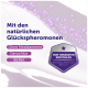 Lila funkelnde Haustierwerbung: natürliche Glückspheromone — ohne Medikamente, geruchlos, sicher; Siegel: Von Tierärzten empfohlen.