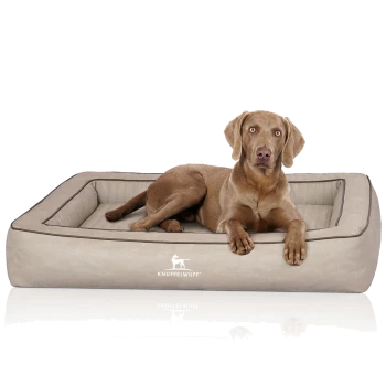 Brauner Hund mit unscharfem Gesicht liegt in einem beigen, rechteckigen Hundebett mit erhöhtem Rand und 'KNUFFELWUFF'-Logo auf der Vorderseite