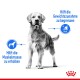 Hund steht aufrecht mit Text auf Deutsch: "Hilft die Gewichtszunahme zu begrenzen" und "Hilft die Muskelmasse zu erhalten."