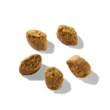 Fünf Stücke braunes Haustierfutter-Kibble auf einem schwarzen Hintergrund angeordnet.