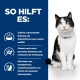 Eine schwarz-weiße Katze auf blauem Hintergrund hebt die Vorteile von nahrhaftem Haustierfutter hervor: schmackhaft, unterstützt die Verdauung, steigert die Energie und stärkt das Immunsystem.