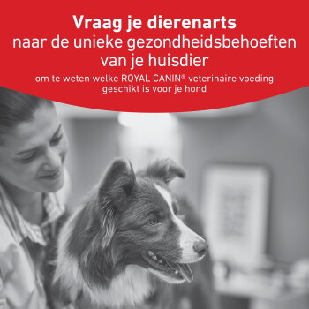 Dierenarts met een blije hond in de kliniek; rood banner met Nederlandse tekst 'Vraag je dierenarts...' en 'ROYAL CANIN' zichtbaar.