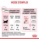 Infographie détaillant les instructions d'alimentation pour les chatons, mettant en avant la marque Royal Canin. Comprend des recommandations de poids, d'âge et de grammes quotidiens.