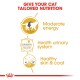 Infographic promoting tailored nutrition for cats, highlighting moderate energy, urinary health, and healthy skin & coat.