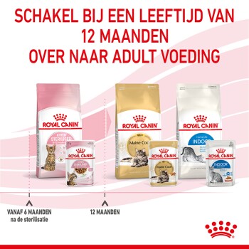 Afbeelding van Royal Canin huisdiervoeding producten, inclusief zakken en blikken voor kittens en volwassen katten, met tekst die adviseert over te schakelen naar volwassen voedsel na 12 maanden.
