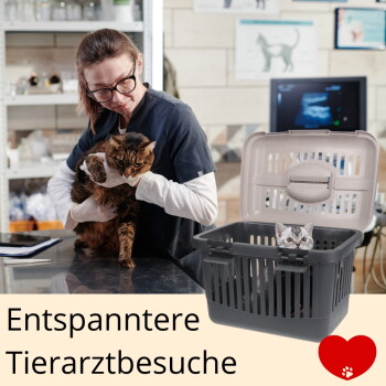 Tierarzt hält eine braungetigerte Katze am Untersuchungstisch; ein graues Kätzchen lugt aus einer offenen Transportbox; Text "Entspanntere Tierarztbesuche" und rotes Herz.