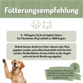 Ein freundlicher Australian Shepherd und eine schwarze Katze sitzen zusammen im Gras, mit "Natürliches Tierwohl" und dem "ALPHAZOO"-Logo in der Ecke.