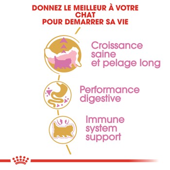 Bild zur Förderung von Katzenfutter mit dem Text: "Geben Sie Ihrer Katze den besten Start," der gesundes Wachstum, Verdauung und Immununterstützung betont.