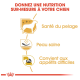 Image promouvant une nutrition sur mesure pour les chiens, avec des icônes et du texte : "Santé du pelage," "Peau saine," et "Convient aux appétits difficiles."