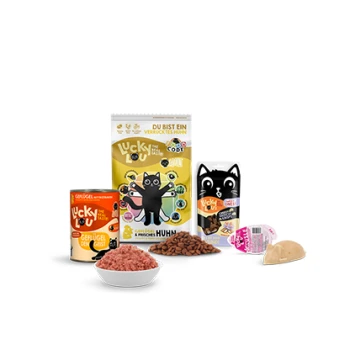 Verschiedene Lucky Katzenfutterprodukte: gelbe Tüte mit schwarzer Katze, Dosen, Beutel, Schale mit Nassfutter und Trockenfutter; Text 'Lucky' und 'Huhn'.