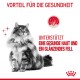 Eine flauschige Katze posiert vor einem weißen Hintergrund mit rotem Text: "Vorteil für die Gesundheit" und "Unterstützt gesunde Haut und glänzendes Fell."