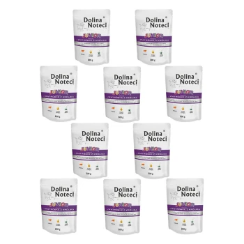 Dziesięć saszetek karmy dla psów Dolina Noteci Junior, z białym wzorem i fioletowymi akcentami, oznaczone 'Wątróbki z Królika', 300g każda.