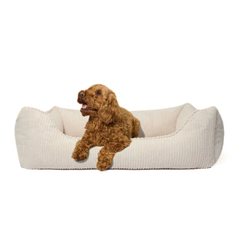 Hundebett ANTON Cord Beige M Ein plüschiges, beiges Haustierbett mit gerippter Textur und erhöhten Rändern, entworfen für Komfort und Unterstützung.