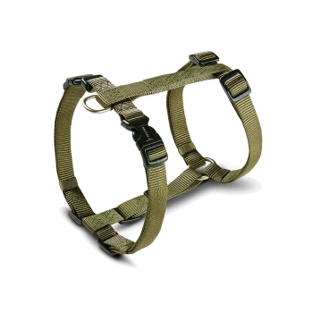 Olivgrünes, verstellbares Nylon-Hundegeschirr mit schwarzen Kunststoffschnallen, Metall-D-Ring und kleinem roten Akzent an der Schnalle.