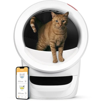Eine verspielte orange getigerte Katze steht in einer modernen weißen Katzentoilette, neben ihr ein Smartphone, das die Whisker-App anzeigt.