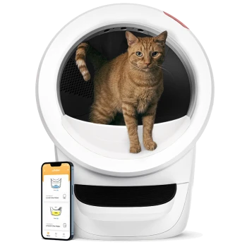 Eine verspielte orange getigerte Katze steht in einer modernen weißen Katzentoilette, neben ihr ein Smartphone, das die Whisker-App anzeigt.