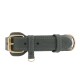 Hundehalsband Plain Dark Moss M