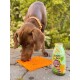 Ein brauner Hund mit einem Halsband leckt eine orangefarbene Silikonmatte auf dem Boden, neben einer Flasche, die mit 'Gemüsebeet Veggie Snack für jeden Hund' beschriftet ist.