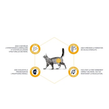 Chat marchant avec un texte sur les bienfaits de la nourriture pour animaux : contrôle de l'hypertension, prévention des pierres, faible en phosphore, pH neutre, soutien de la fonction rénale.
