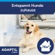 ADAPTIL Calm Produkt für Hunde, das Entspannung zu Hause fördert, mit einer Abdeckfläche von 70 m².