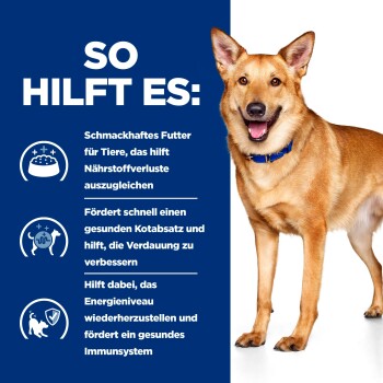 Lächelnder brauner Hund mit blauem Halsband neben deutschem Text über Vorteile von Tiernahrung für Verdauung, Energie und Immunsystem.