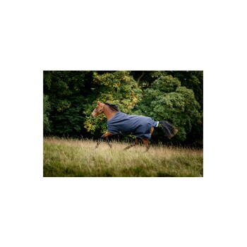 Ein braunes Pferd, das mit einer dunkelblauen Decke durch ein grasbewachsenes Feld galoppiert, umgeben von Bäumen im Hintergrund.