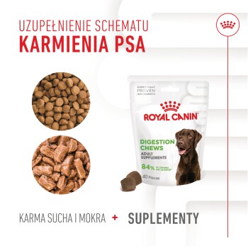 Royal Canin Digestion Chews dla psów, z torbą z brązowym psem, karmą i przysmakami, podkreślającą "84% właścicieli jest zadowolonych."