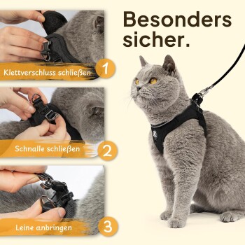 Eine graue Katze in einem schwarzen Geschirr wird in drei Schritten gezeigt: Klettverschluss schließen, Schnalle befestigen und Leine anbringen, mit dem Text "Besonders sicher."