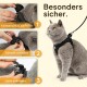 Eine graue Katze in einem schwarzen Geschirr wird in drei Schritten gezeigt: Klettverschluss schließen, Schnalle befestigen und Leine anbringen, mit dem Text "Besonders sicher."
