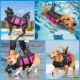 Vier Hunde in pinken und schwarzen Schwimmwesten: ein schwarzer Hund am Pool, ein Golden Retriever schwimmend und ein Corgi am Strand.