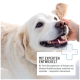 Golden Retriever wird sanft gestreichelt, mit dem Text "Entwickelt mit Experten" und Details zu hohen Qualitätsstandards auf Deutsch.